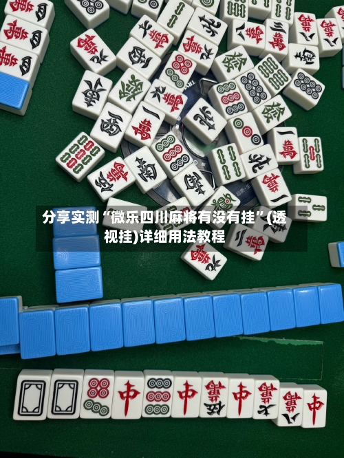 分享实测“微乐四川麻将有没有挂	”(透视挂)详细用法教程-第2张图片