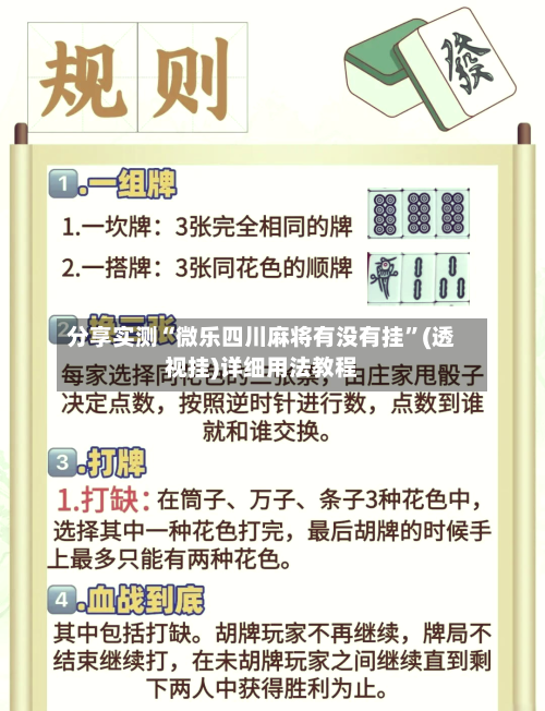 分享实测“微乐四川麻将有没有挂”(透视挂)详细用法教程-第3张图片