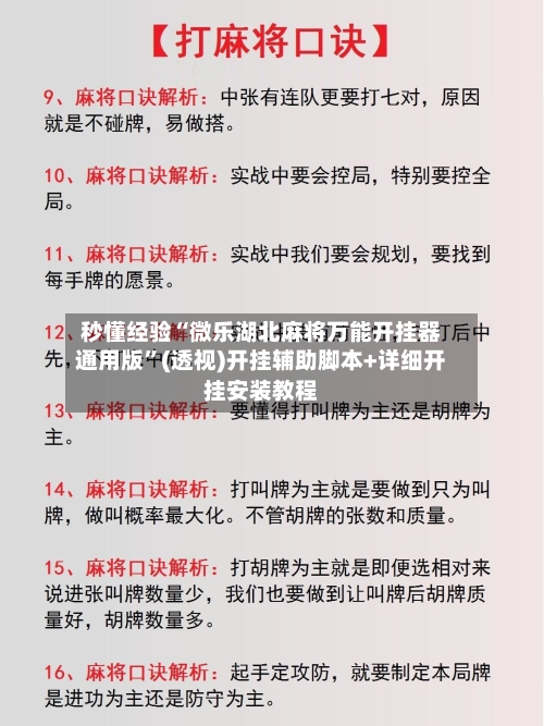 秒懂经验“微乐湖北麻将万能开挂器通用版	”(透视)开挂辅助脚本+详细开挂安装教程-第2张图片