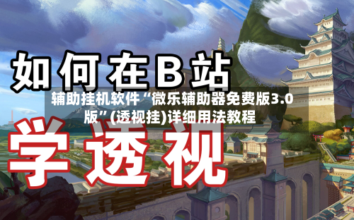 辅助挂机软件“微乐辅助器免费版3.0版”(透视挂)详细用法教程-第2张图片