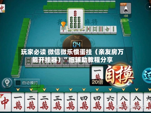 玩家必读 微信微乐惯蛋挂（亲友房万能开挂器）”细辅助教程分享