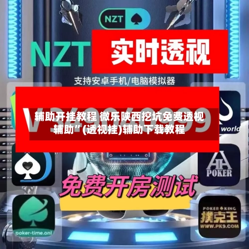 辅助开挂教程 微乐陕西挖坑免费透视辅助	”(透视挂)辅助下载教程-第2张图片
