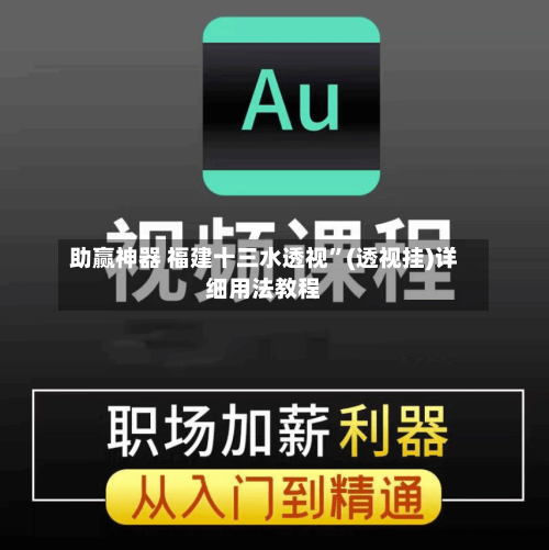 助赢神器 福建十三水透视”(透视挂)详细用法教程-第3张图片