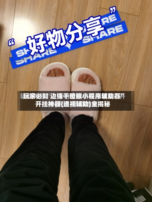 玩家必知 边锋干瞪眼小程序辅助器”开挂神器{透视辅助}全揭秘-第2张图片