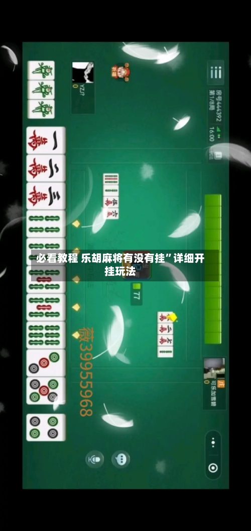 必看教程 乐胡麻将有没有挂”详细开挂玩法-第3张图片