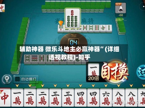 辅助神器 微乐斗地主必赢神器”(详细透视教程)-知乎-第2张图片