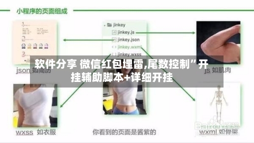 软件分享 微信红包埋雷,尾数控制”开挂辅助脚本+详细开挂-第3张图片