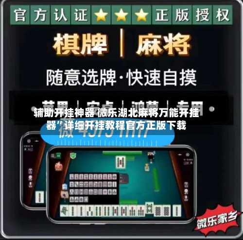 辅助开挂神器 微乐湖北麻将万能开挂器	”详细开挂教程官方正版下载-第3张图片