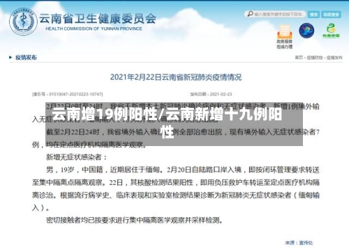 云南增19例阳性/云南新增十九例阳性