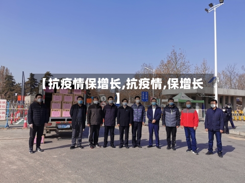 【抗疫情保增长,抗疫情,保增长】-第2张图片