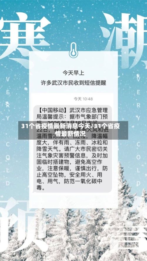 31个省疫情最新消息今天/31个省疫情最新情况-第3张图片
