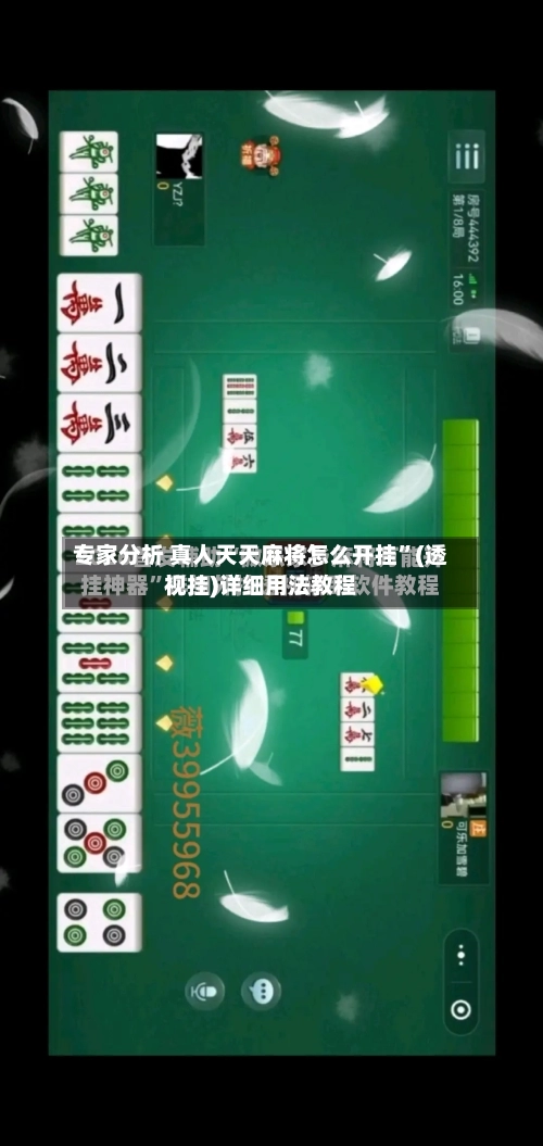 专家分析 真人天天麻将怎么开挂”(透视挂)详细用法教程-第3张图片