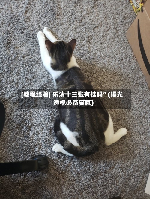 [教程经验] 乐清十三张有挂吗	”(曝光透视必备猫腻)-第2张图片