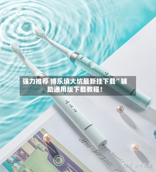 强力推荐 博乐填大坑最新挂下载”辅助通用版下载教程！-第2张图片