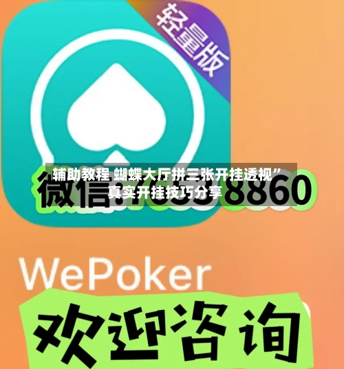 辅助教程 蝴蝶大厅拼三张开挂透视”真实开挂技巧分享-第2张图片