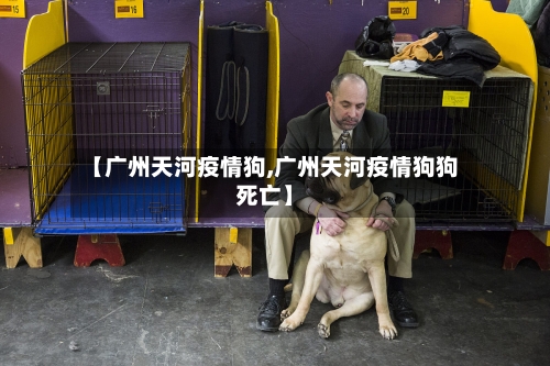 【广州天河疫情狗,广州天河疫情狗狗死亡】-第2张图片