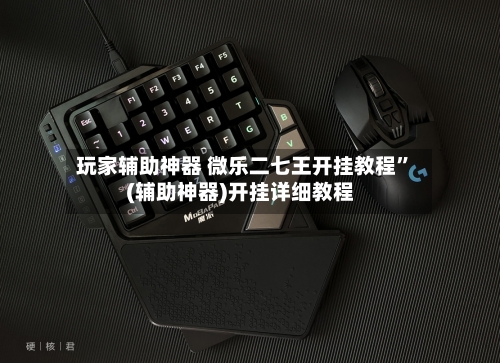玩家辅助神器 微乐二七王开挂教程”(辅助神器)开挂详细教程-第3张图片