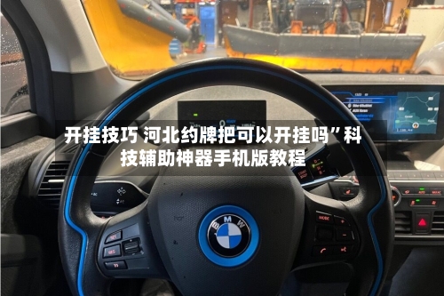 开挂技巧 河北约牌把可以开挂吗”科技辅助神器手机版教程-第2张图片