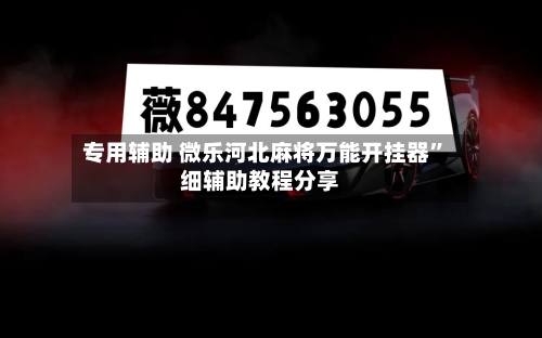 专用辅助 微乐河北麻将万能开挂器	”细辅助教程分享-第2张图片