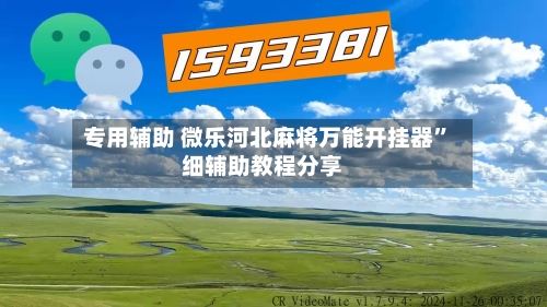专用辅助 微乐河北麻将万能开挂器”细辅助教程分享-第3张图片
