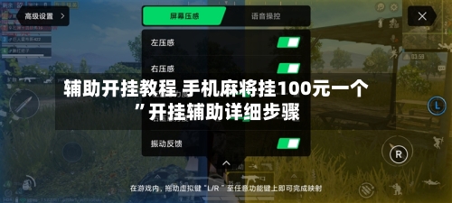 辅助开挂教程 手机麻将挂100元一个”开挂辅助详细步骤-第2张图片