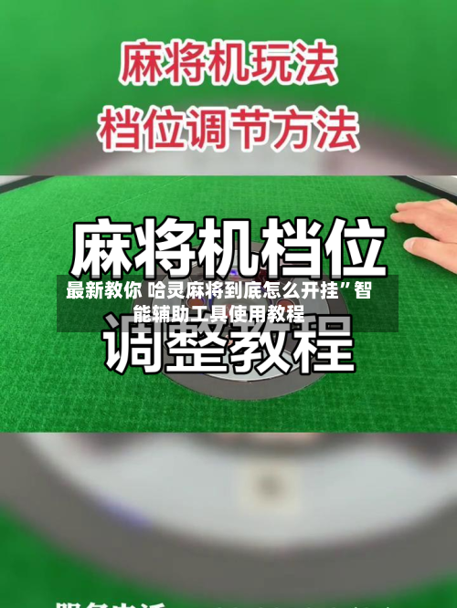最新教你 哈灵麻将到底怎么开挂	”智能辅助工具使用教程-第2张图片