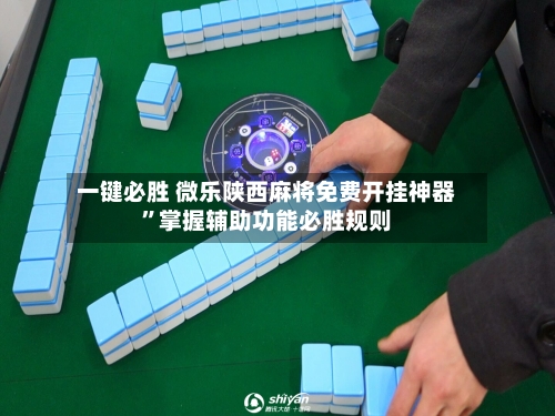 一键必胜 微乐陕西麻将免费开挂神器	”掌握辅助功能必胜规则-第3张图片