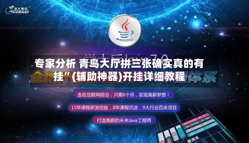 专家分析 青鸟大厅拼三张确实真的有挂	”(辅助神器)开挂详细教程-第2张图片