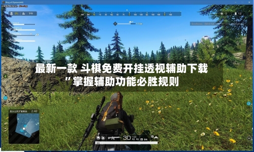 最新一款 斗棋免费开挂透视辅助下载”掌握辅助功能必胜规则-第2张图片