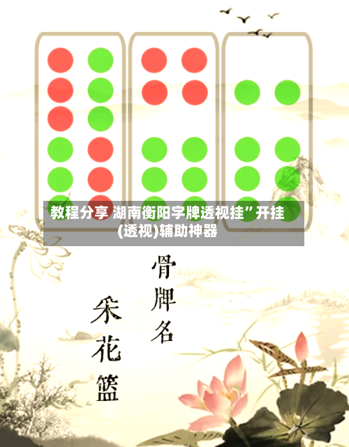 教程分享 湖南衡阳字牌透视挂”开挂(透视)辅助神器-第2张图片