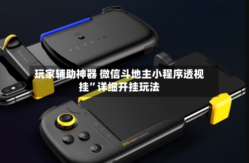 玩家辅助神器 微信斗地主小程序透视挂	”详细开挂玩法-第2张图片