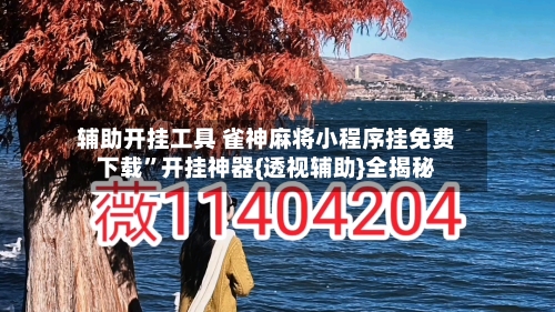 辅助开挂工具 雀神麻将小程序挂免费下载”开挂神器{透视辅助}全揭秘-第3张图片