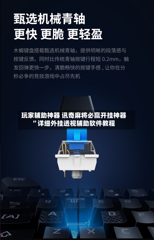 玩家辅助神器 讯奇麻将必赢开挂神器”详细外挂透视辅助软件教程-第3张图片