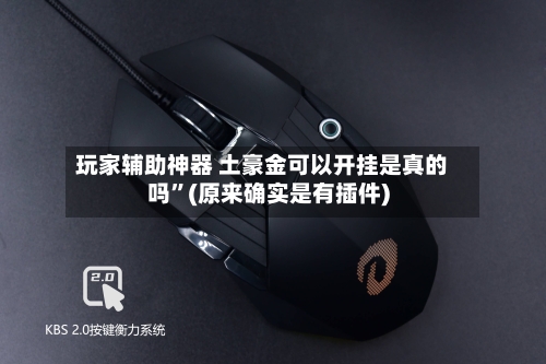 玩家辅助神器 土豪金可以开挂是真的吗	”(原来确实是有插件)-第2张图片