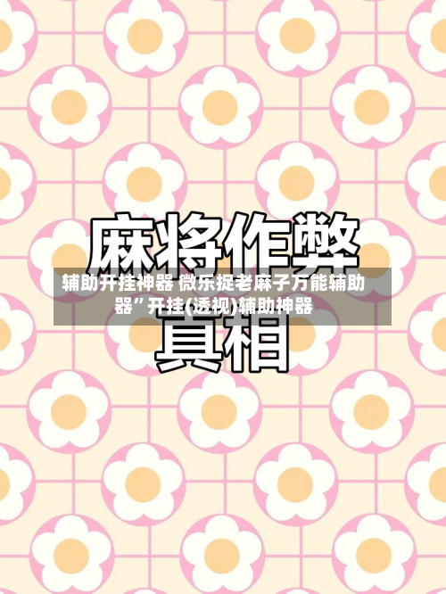 辅助开挂神器 微乐捉老麻子万能辅助器”开挂(透视)辅助神器