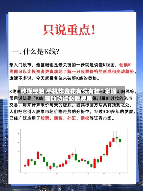 秒懂经验 手机炸金花有没有挂”掌握辅助功能必胜规则-第3张图片