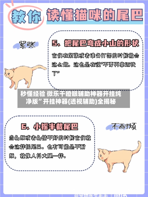 秒懂经验 微乐干瞪眼辅助神器开挂纯净版”开挂神器{透视辅助}全揭秘-第2张图片