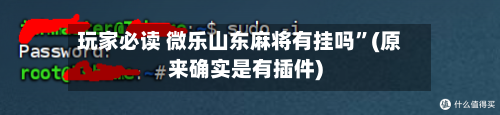 玩家必读 微乐山东麻将有挂吗”(原来确实是有插件)-第2张图片