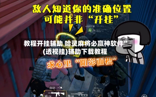 教程开挂辅助 哈灵麻将必赢神软件	”(透视挂)辅助下载教程-第2张图片