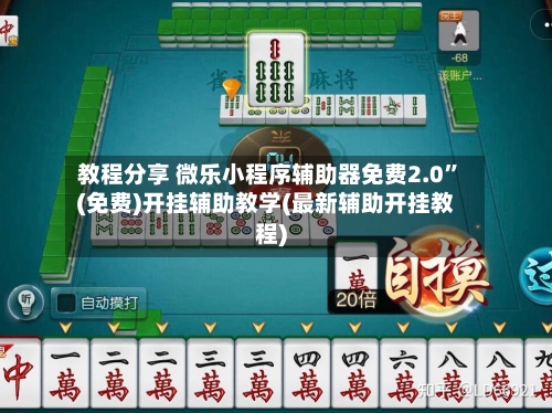 教程分享 微乐小程序辅助器免费2.0”(免费)开挂辅助教学(最新辅助开挂教程)-第2张图片
