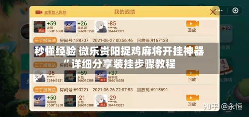 秒懂经验 微乐贵阳捉鸡麻将开挂神器	”详细分享装挂步骤教程-第2张图片