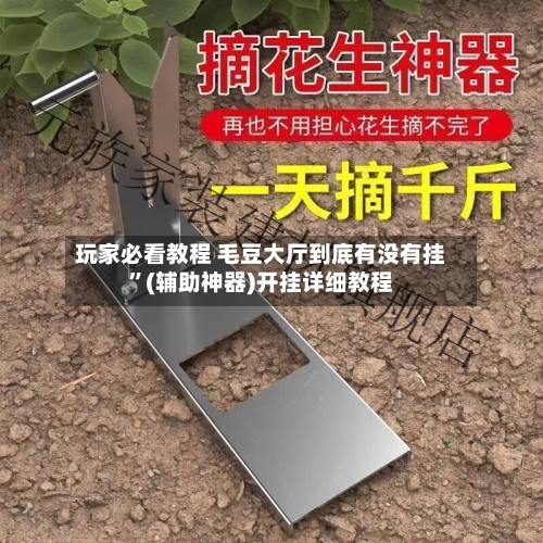 玩家必看教程 毛豆大厅到底有没有挂”(辅助神器)开挂详细教程-第2张图片