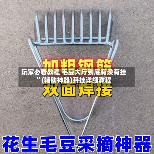 玩家必看教程 毛豆大厅到底有没有挂”(辅助神器)开挂详细教程-第3张图片