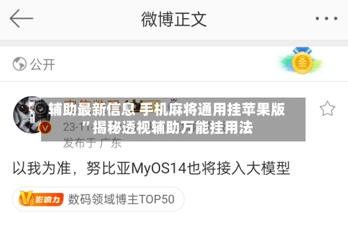 辅助最新信息 手机麻将通用挂苹果版”揭秘透视辅助万能挂用法-第3张图片