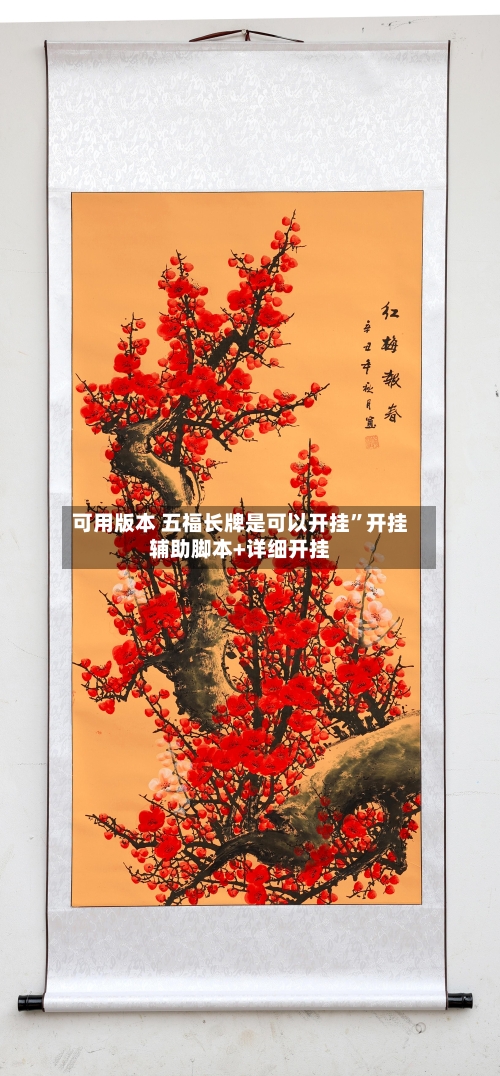 可用版本 五福长牌是可以开挂”开挂辅助脚本+详细开挂-第2张图片