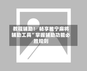 教程辅助！ 畅享睢宁麻将辅助工具”掌握辅助功能必胜规则-第2张图片