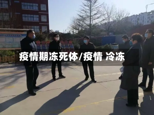 疫情期冻死体/疫情 冷冻