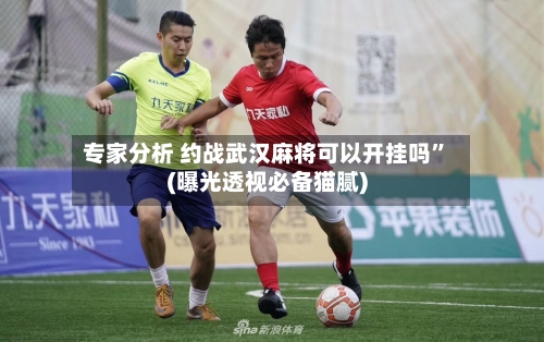 专家分析 约战武汉麻将可以开挂吗”(曝光透视必备猫腻)-第3张图片