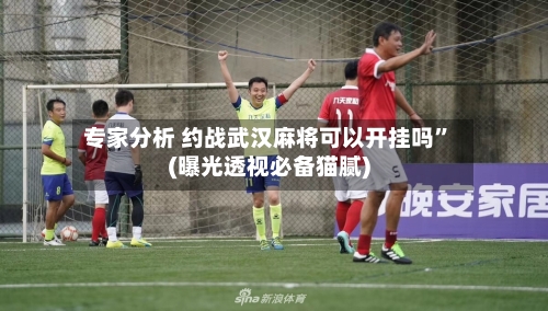 专家分析 约战武汉麻将可以开挂吗	”(曝光透视必备猫腻)-第2张图片