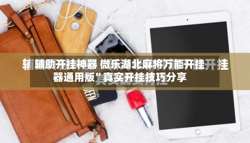 辅助开挂神器 微乐湖北麻将万能开挂器通用版	”真实开挂技巧分享-第2张图片